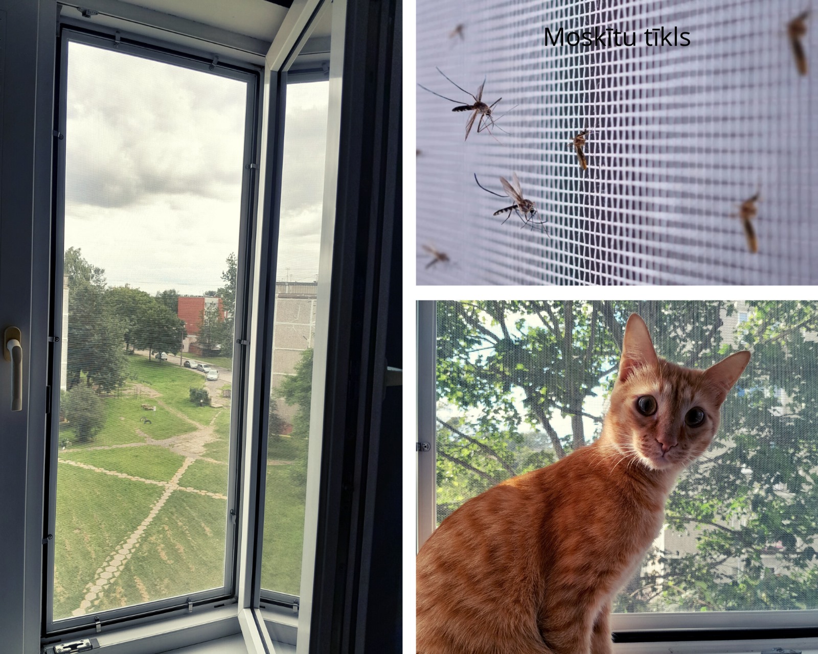 Москитные сетки